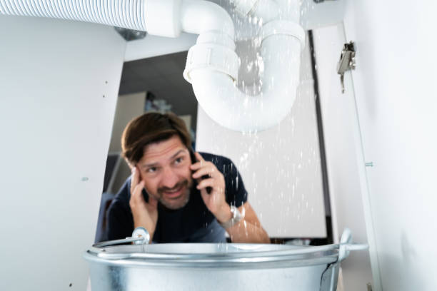 Best Leak Detection Services  in Greenfield, CA